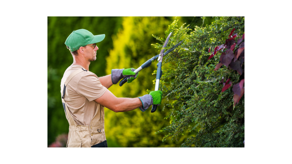  The Art of Creating Low-Maintenance Gardens